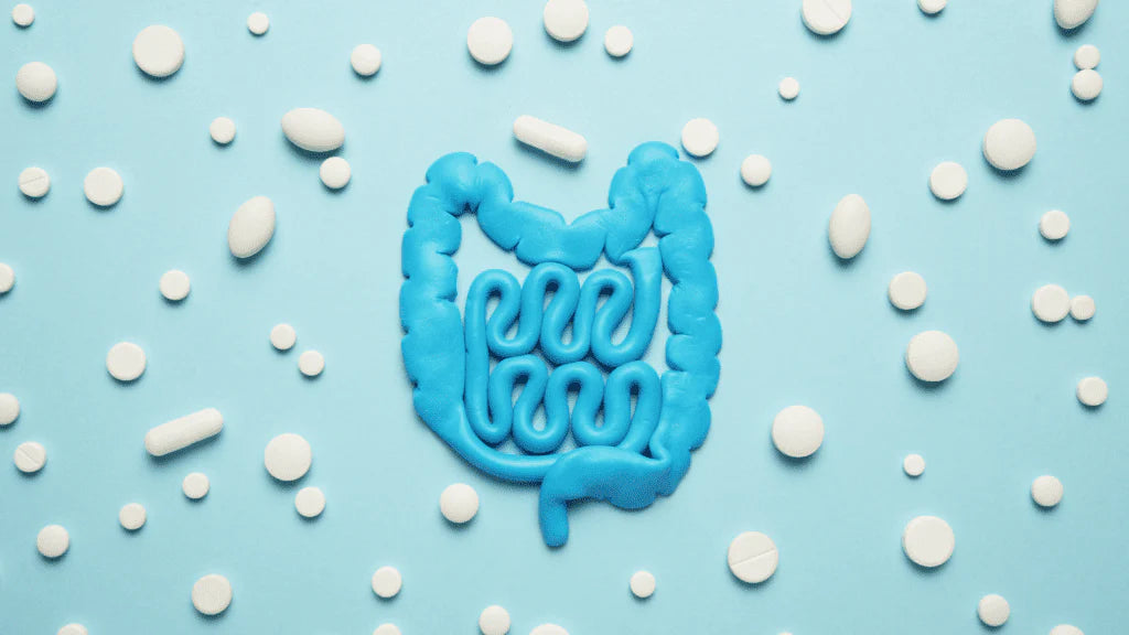 Your guide to gut health!