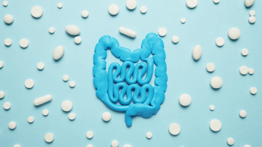 Your guide to gut health!